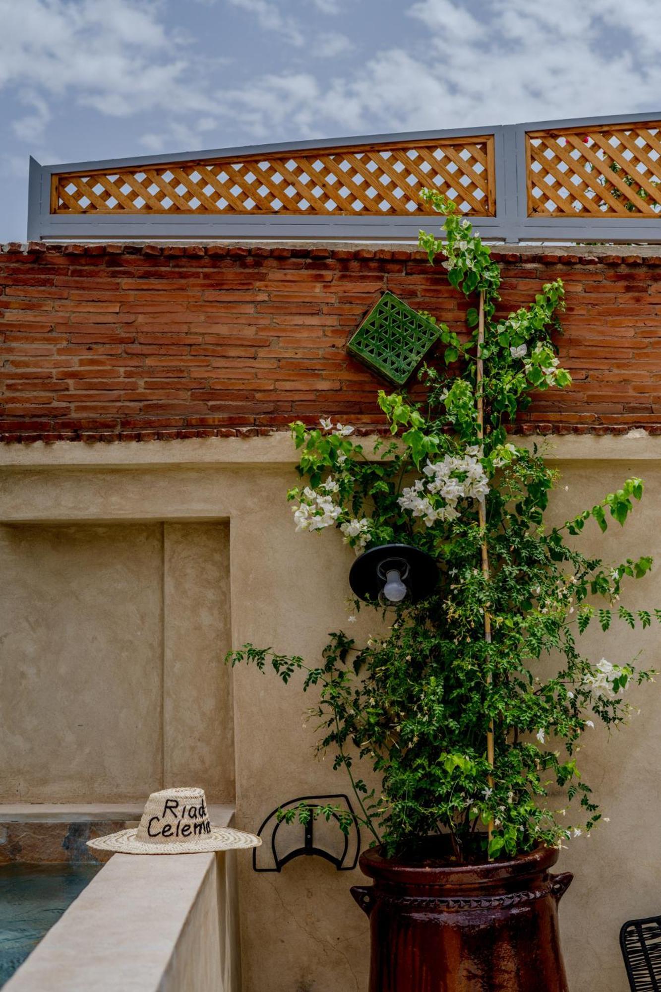 Riad Celema & Spa Marrakesh Extérieur photo